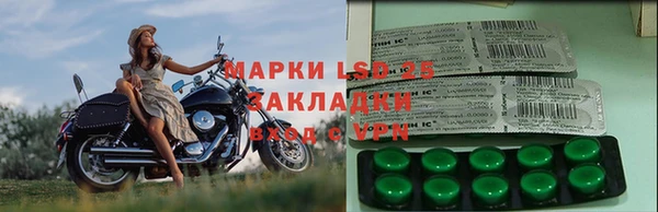 гашик Аркадак