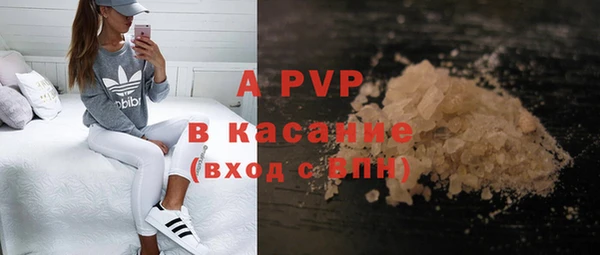 гашик Аркадак
