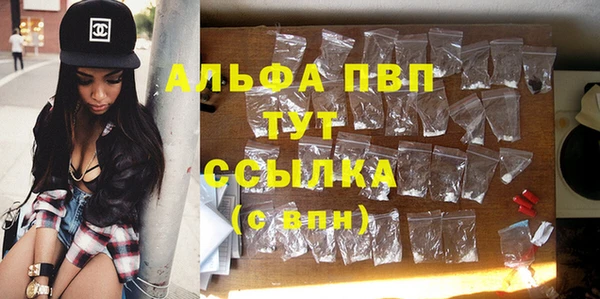 гашик Аркадак