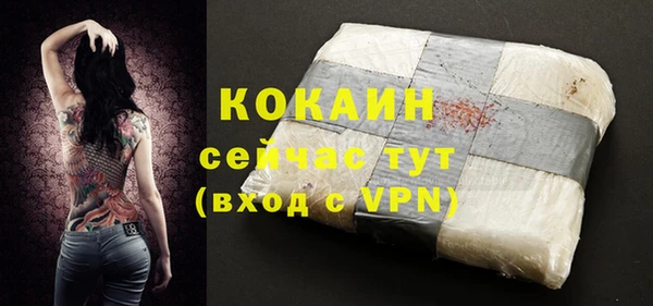 гашик Аркадак
