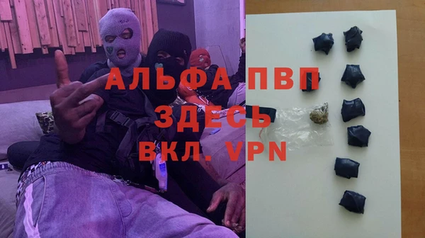 spice Арсеньев