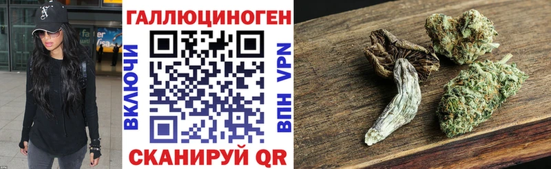 Галлюциногенные грибы Psilocybine cubensis  Сатка 